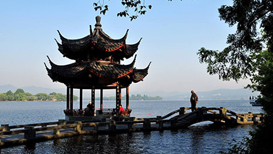 城市绿化不能“唯美”是选