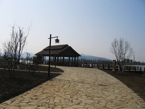 太湖湿地公园