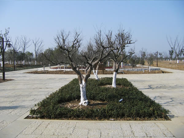 太湖湿地公园