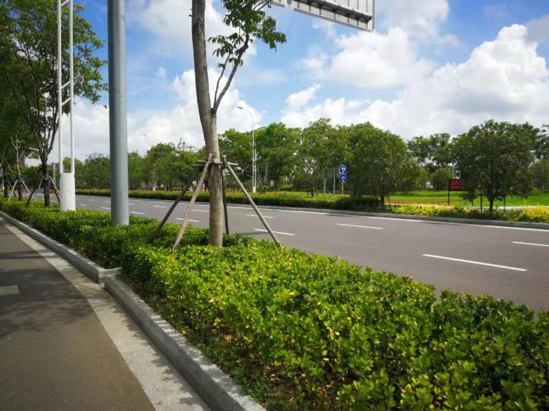 唯胜路