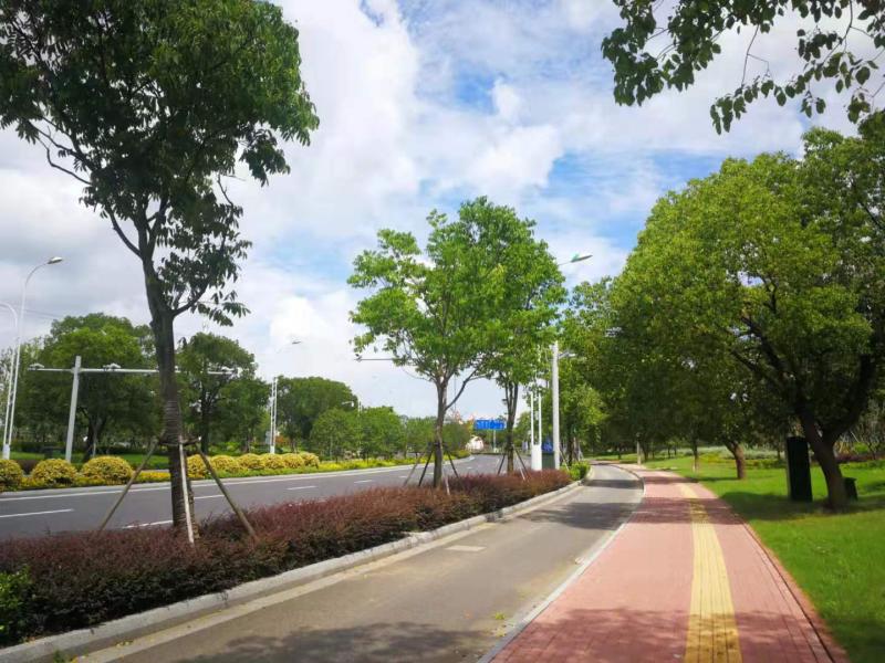 唯胜路